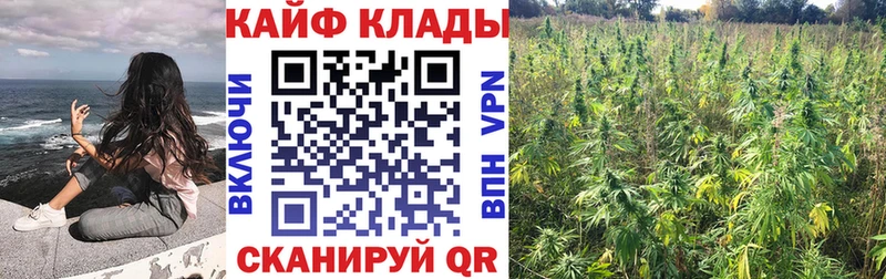 Где продают наркотики Иннополис Кокаин  Галлюциногенные грибы  Мефедрон 