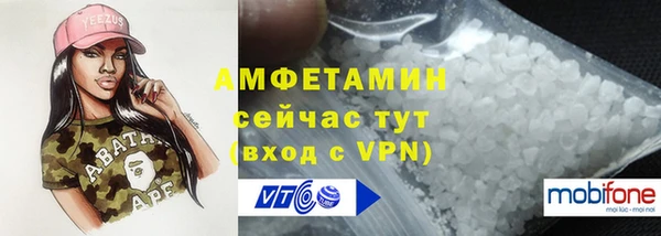 дживик Верхний Тагил