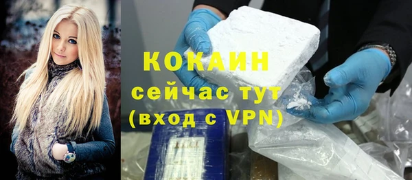 дживик Верхний Тагил